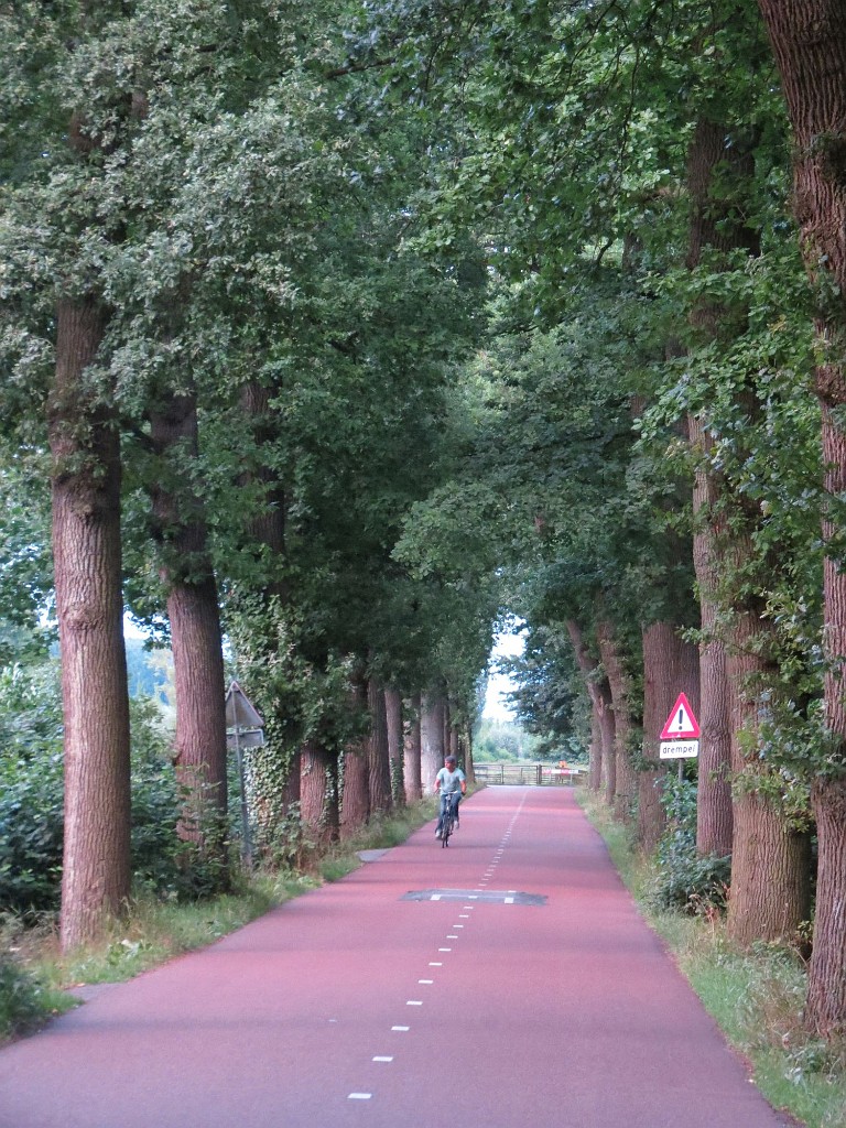 WF_Vecht_2013_074