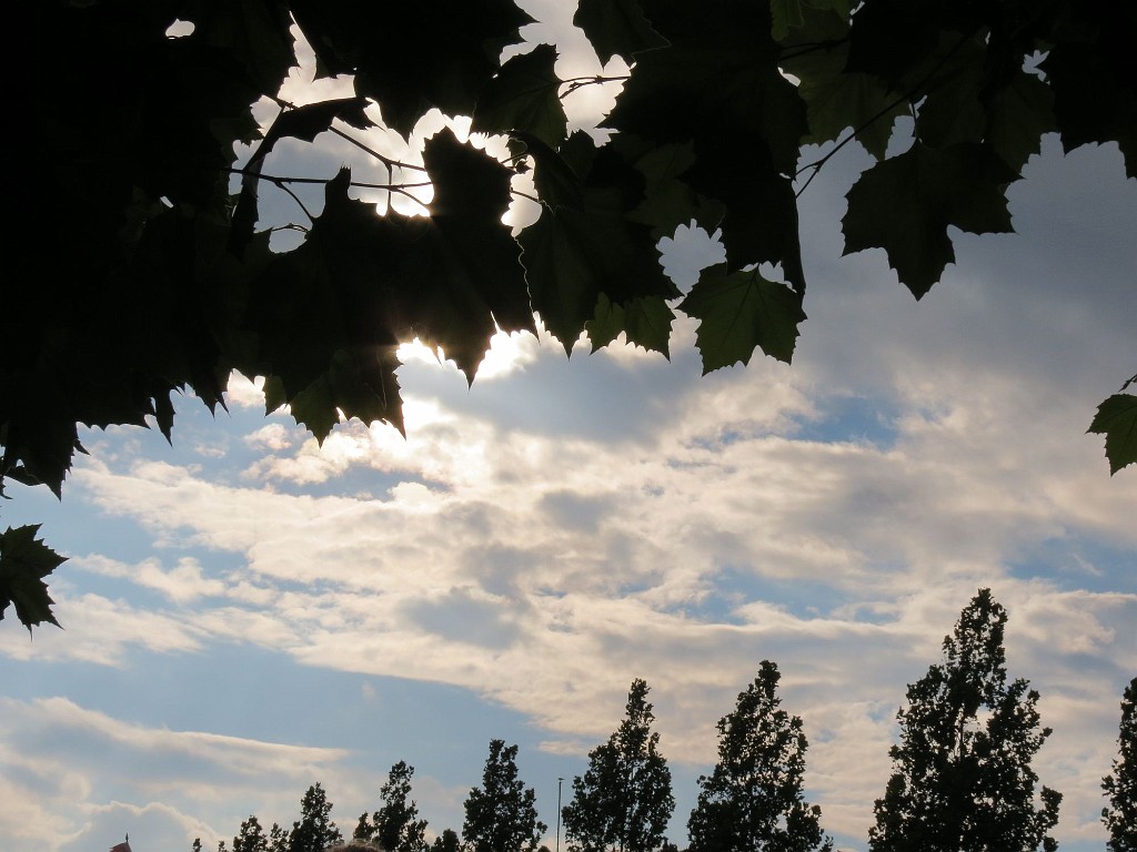 WF_Vecht_2013_114