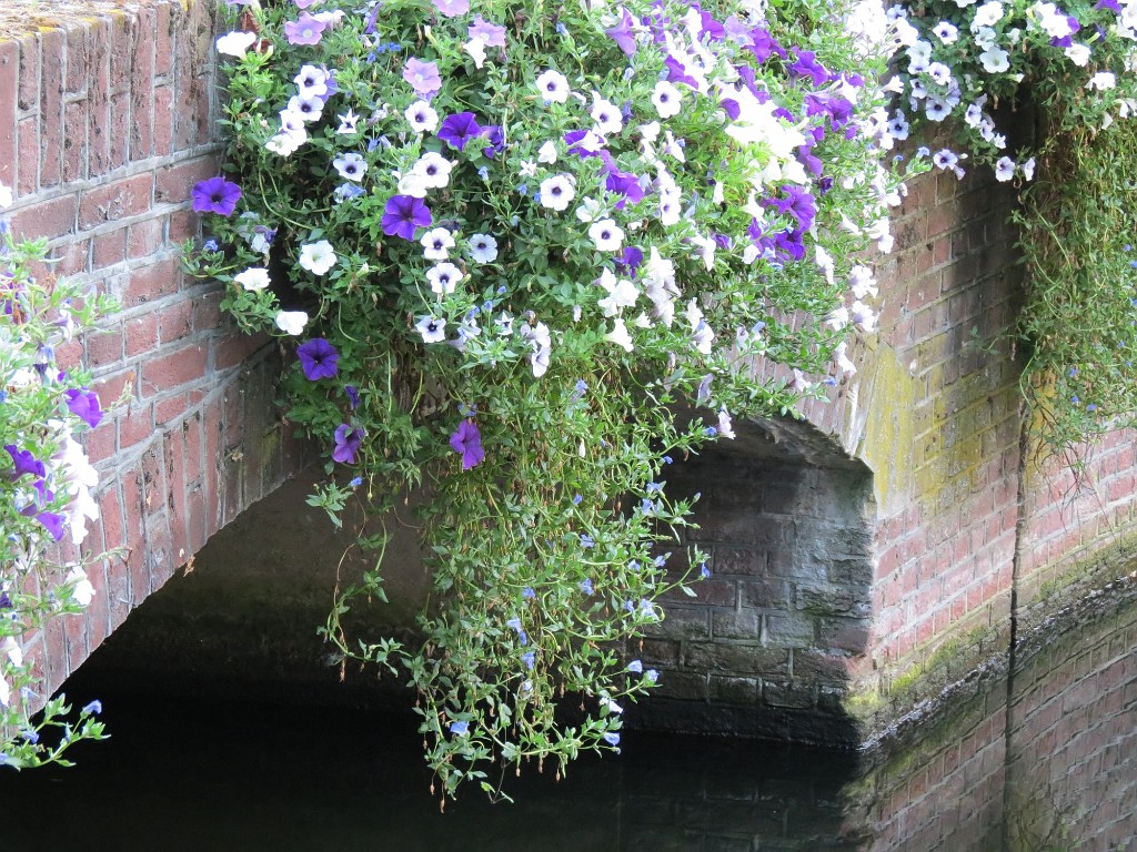 WF_Vecht_2013_118