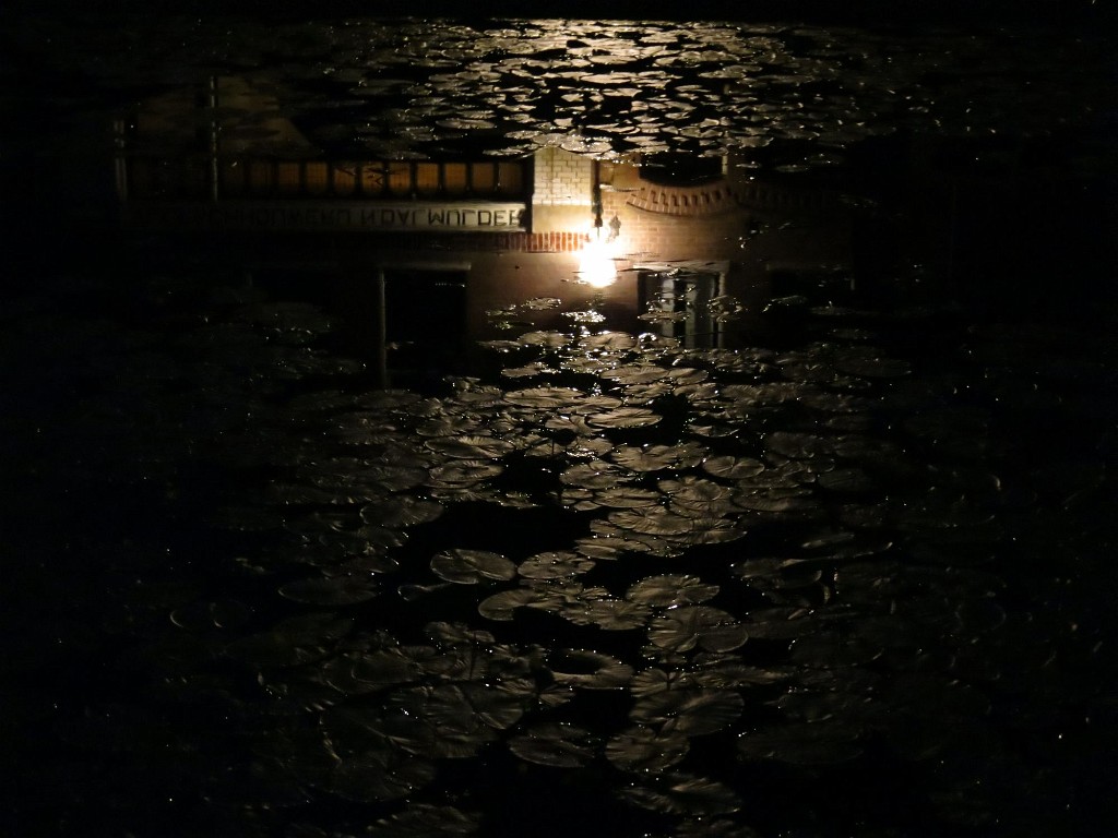 WF_Vecht_2013_142