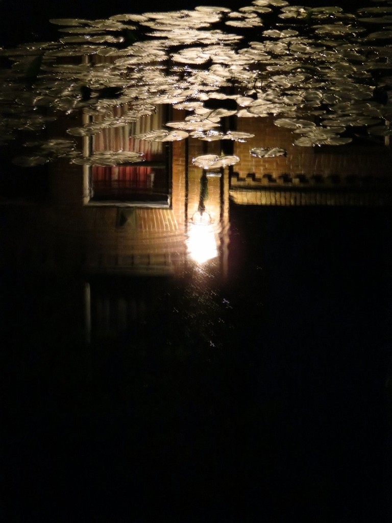 WF_Vecht_2013_146