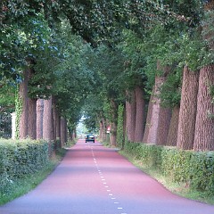 WF_Vecht_2013_072