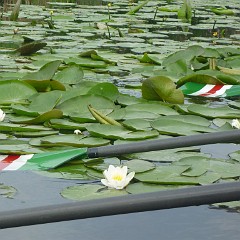 WF_Vecht_2013_082