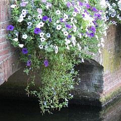 WF_Vecht_2013_118