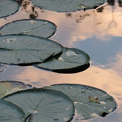 WF_Vecht_2013_120
