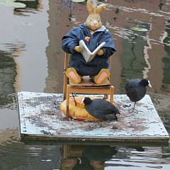 WF_Vecht_2013_131