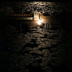WF_Vecht_2013_142