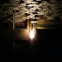 WF_Vecht_2013_146